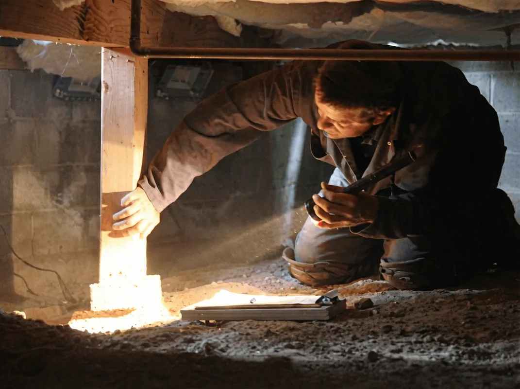 A professional inspecting wooden beams under the floor of a structure in Salt Lake City, UT